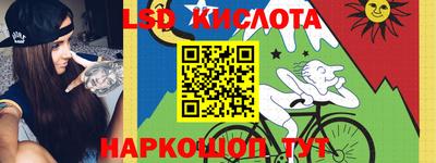твердый Сланцы