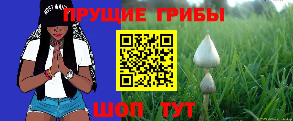 Галлюциногенные грибы Magic Shrooms Рассказово