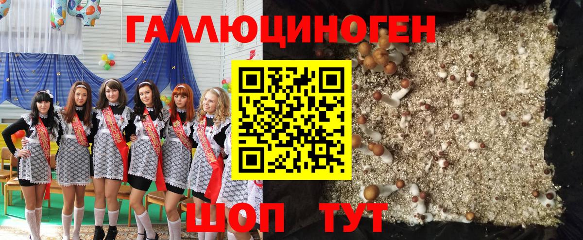 Рассказово  Псилоцибиновые грибы мухоморы  Галлюциногенные грибы ЛСД  Вход с VPN 